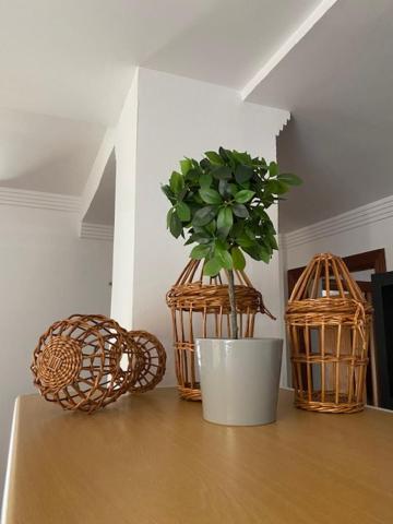 La Minilla Suite Las Palmas de Gran Canaria Ngoại thất bức ảnh